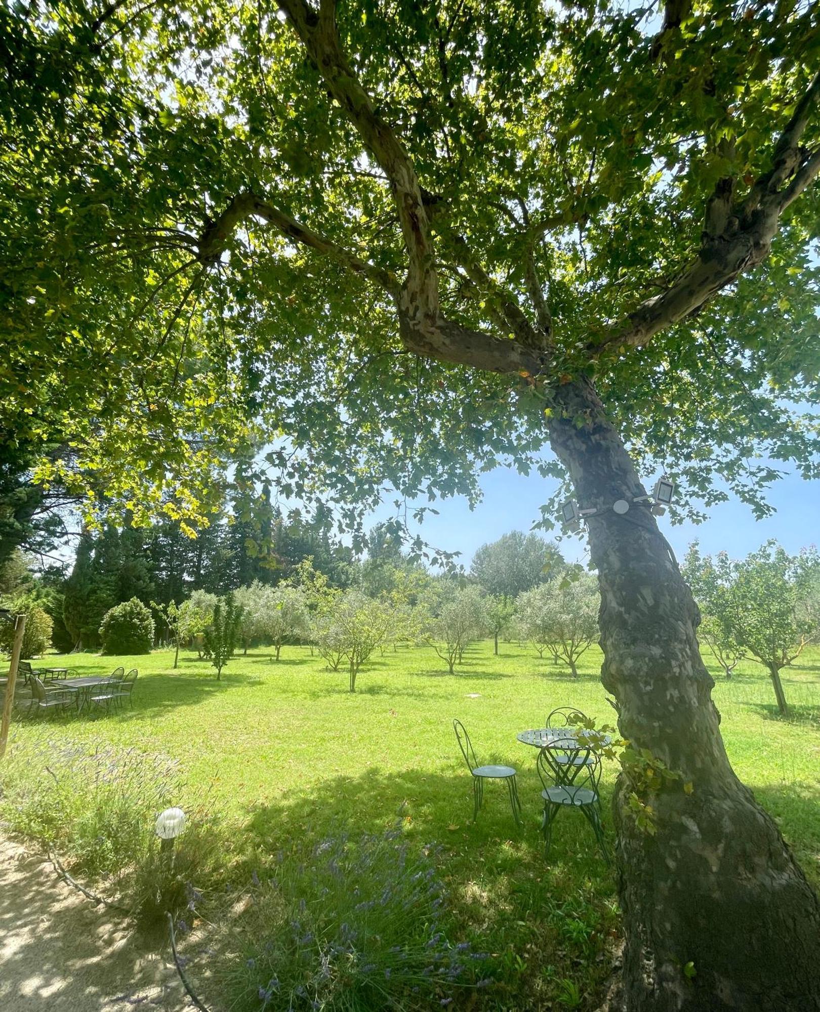 Bed & Breakfast Domaine Au Coeur Des Alpilles Maussane les Alpilles