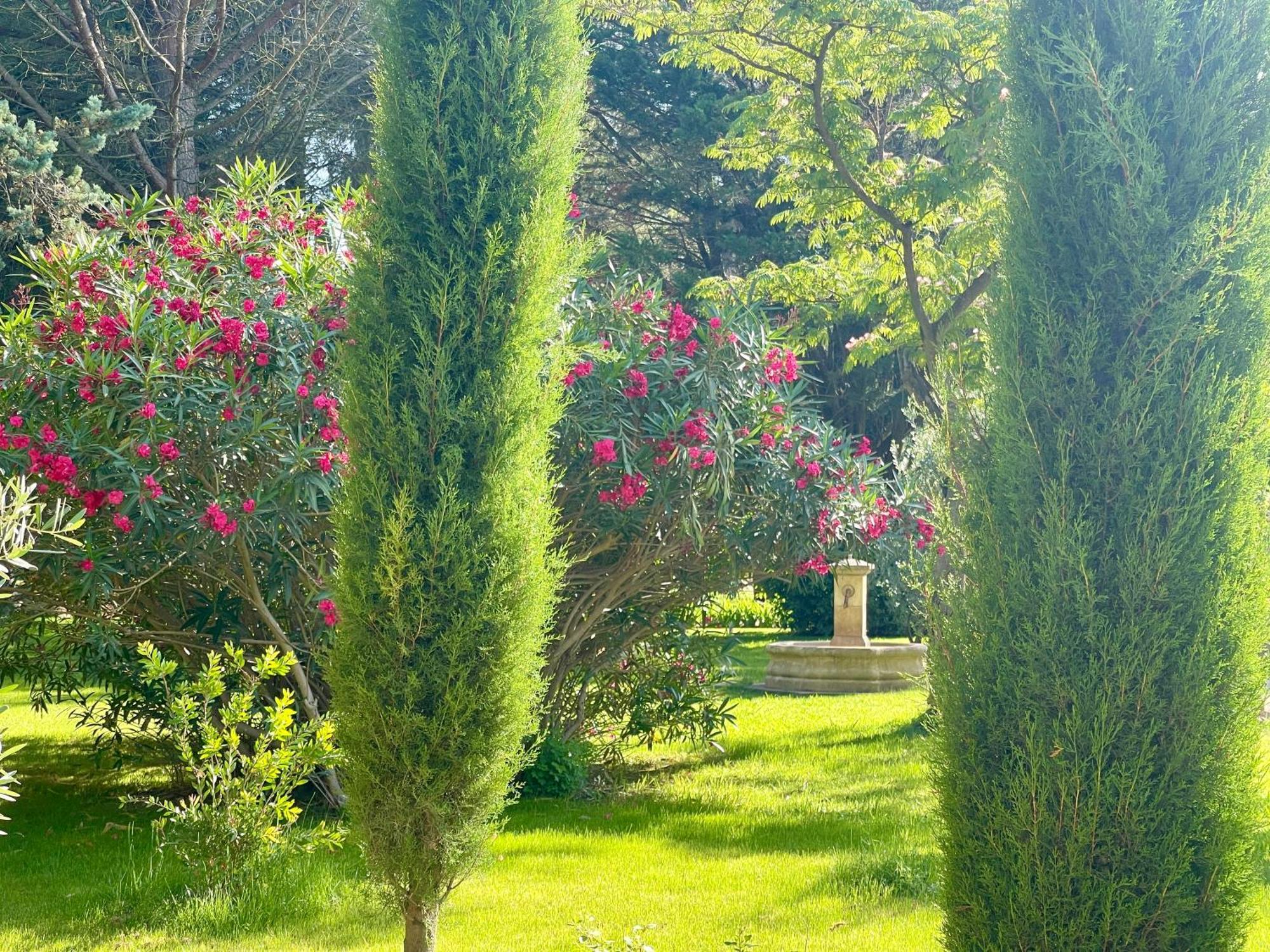 Domaine Au Coeur Des Alpilles Frühstückspension *
