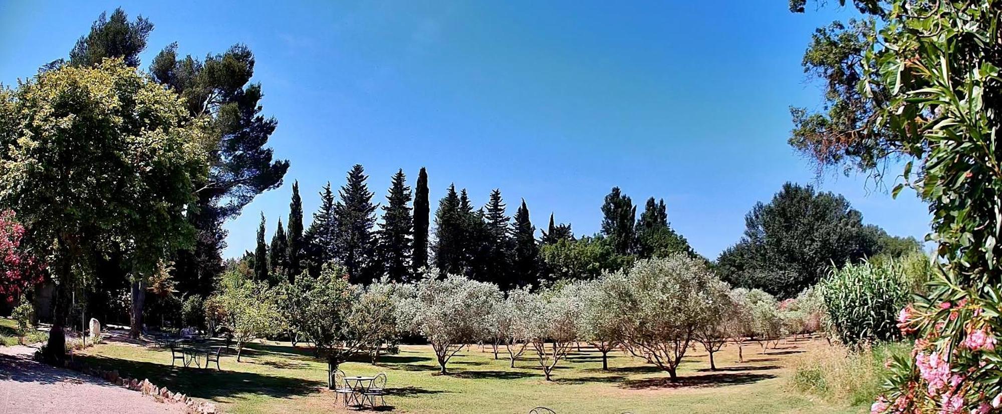 Bed & Breakfast Domaine Au Coeur Des Alpilles