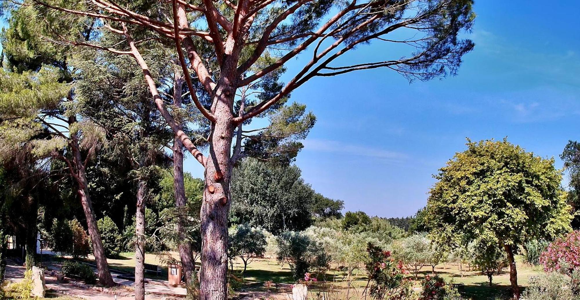 Bed & Breakfast Domaine Au Coeur Des Alpilles Maussane les Alpilles